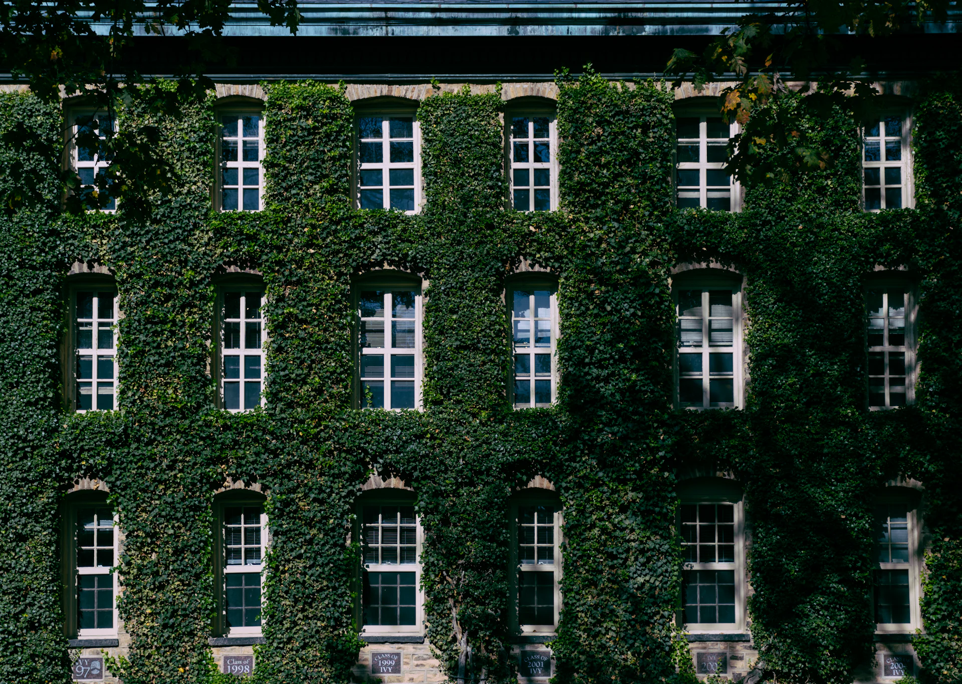 Façade couverte de lierre