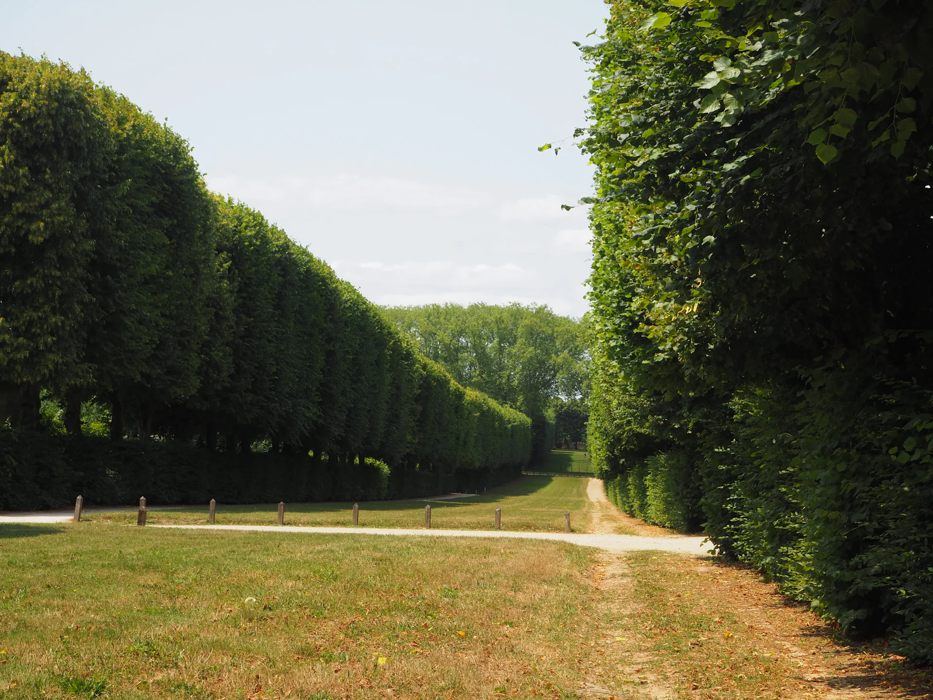 Allée de charmilles, Versailles